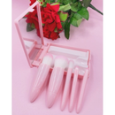 Kit 5 de pincéis Para maquiagem Com espelho super sofisticado