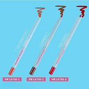 Lápis labial Iconic Popstar - Ruby Rose HBL6700